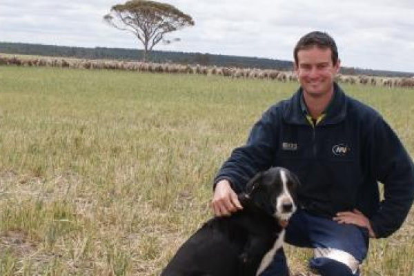 Mundalla Lambs Beat Dry And Frost image