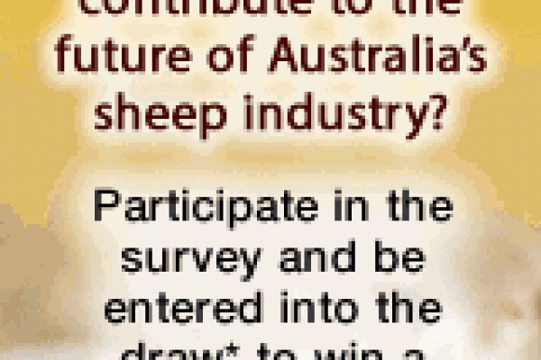 2014 MLA and AWI Wool and Sheepmeat Survey image